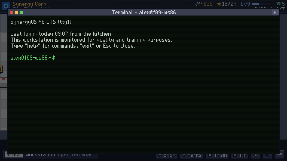 The workstation terminal